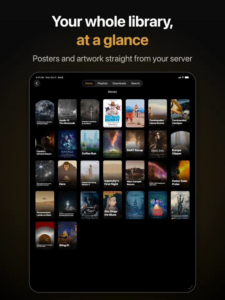 The Movies library on iPad as a grid of all films